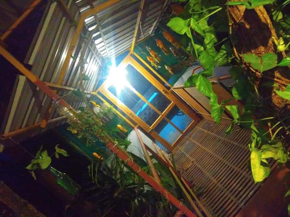 Munnar Home Stay Teadrops Plantation Villa Exterior photo