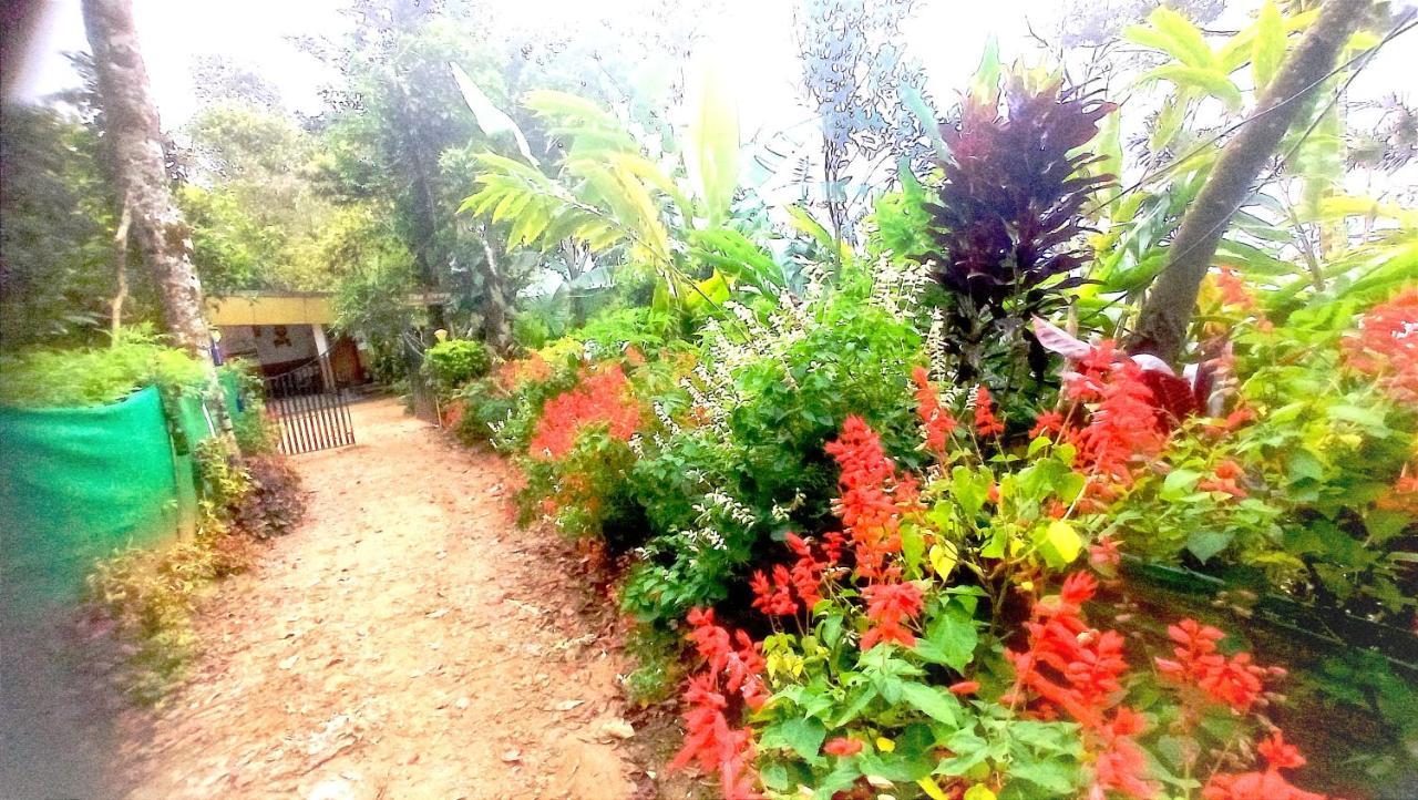 Munnar Home Stay Teadrops Plantation Villa Exterior photo