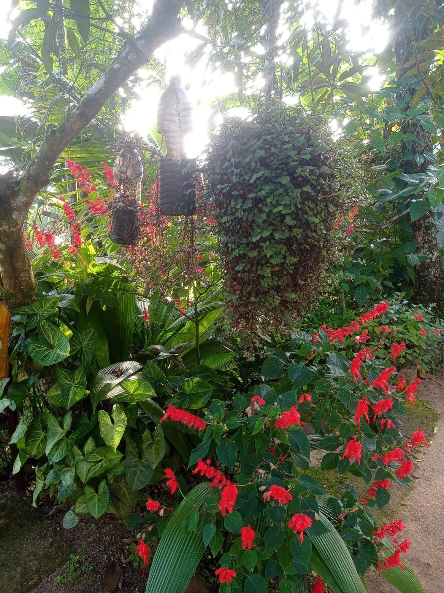 Munnar Home Stay Teadrops Plantation Villa Exterior photo