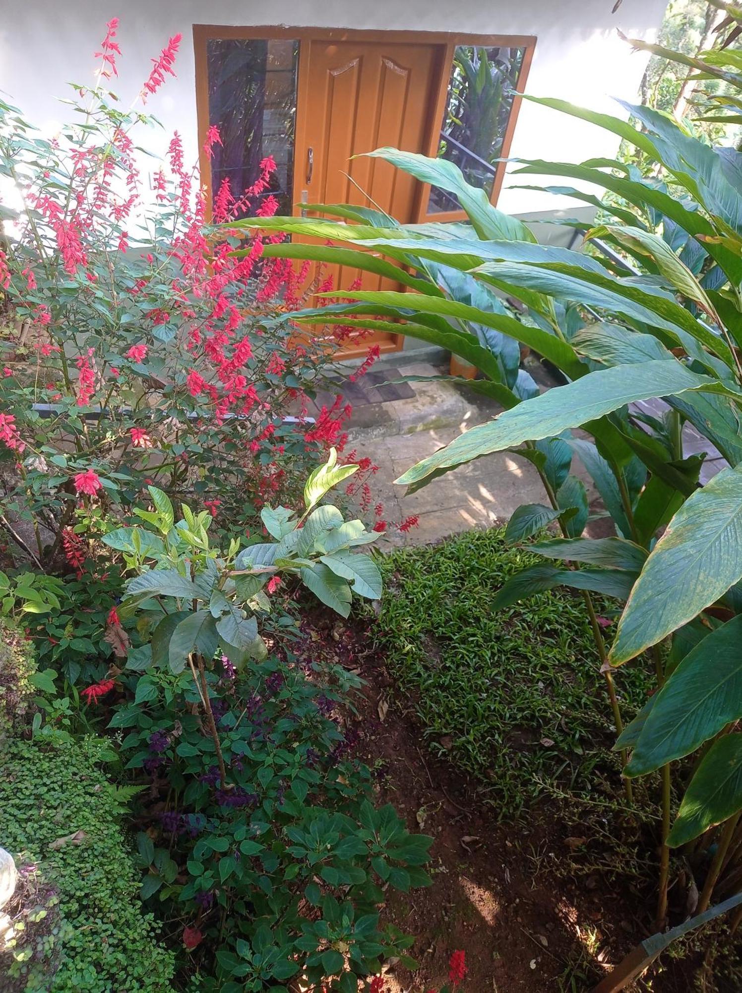 Munnar Home Stay Teadrops Plantation Villa Exterior photo