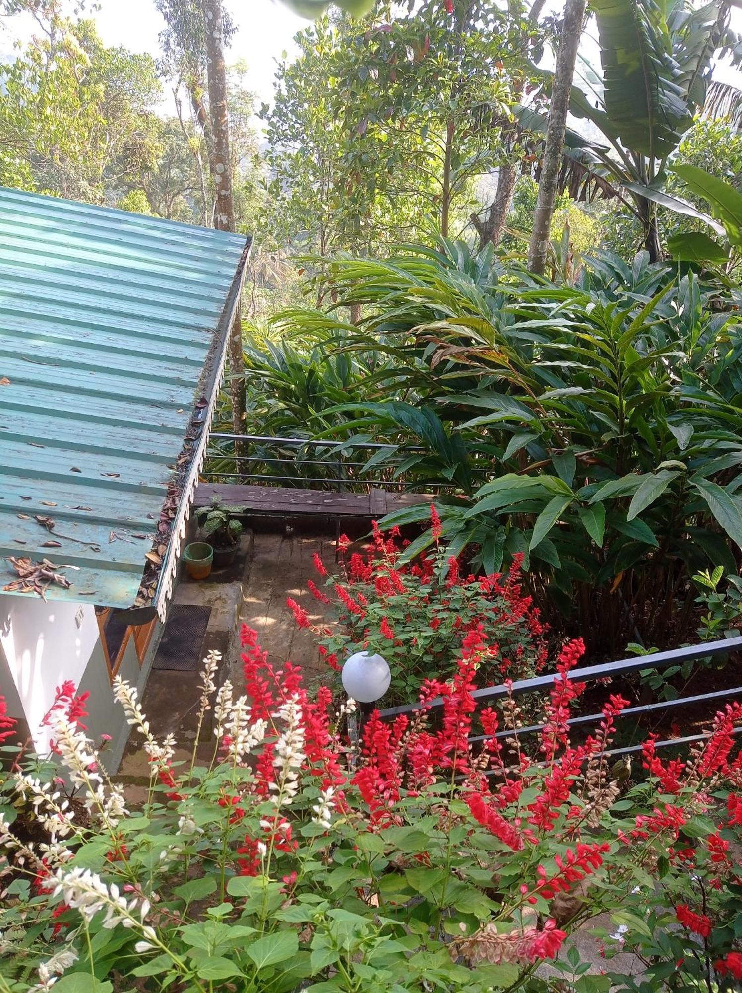 Munnar Home Stay Teadrops Plantation Villa Exterior photo