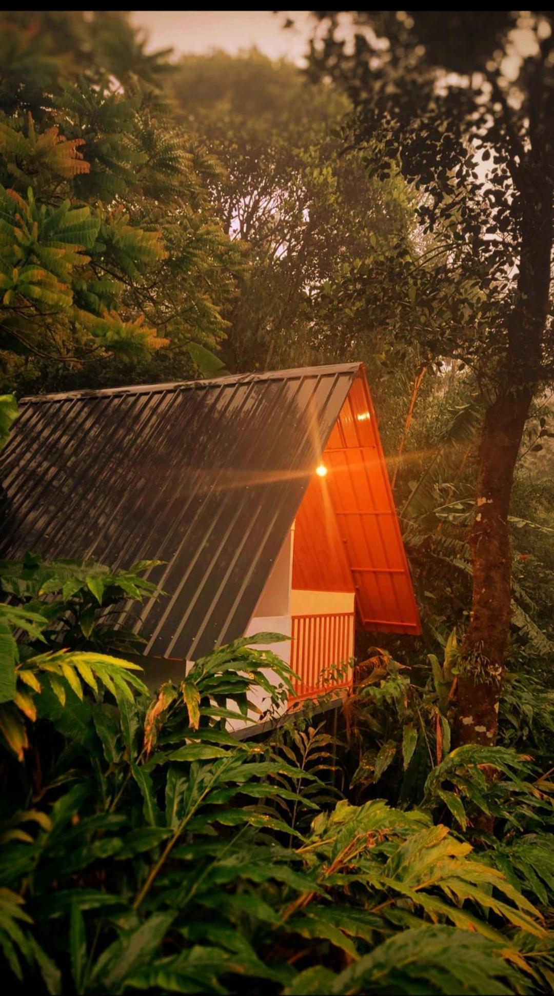 Munnar Home Stay Teadrops Plantation Villa Exterior photo